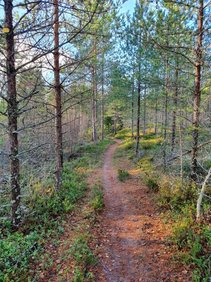 Ferienwohnung Uusi Lomahuoneisto Golf Hiekkasaerkaet Kalajoki Exterior foto